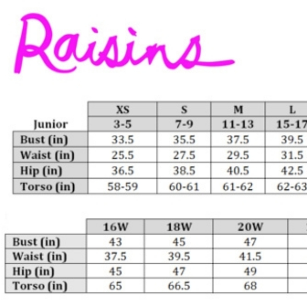 NWT Raisins 2 piece bikini - Picture 7 of 7
